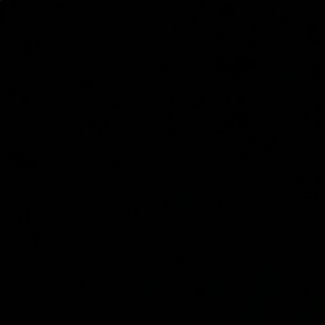 Meet your Posher, Audrey